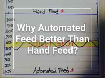 WHY AUTOMATED FEED > HAND FEED?